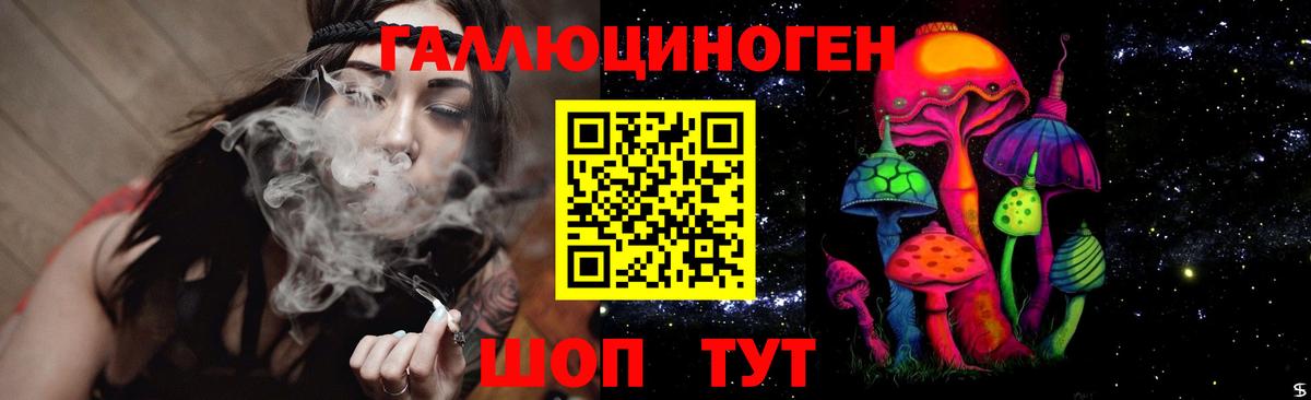 Губкинский  Галлюциногенные грибы Psilocybe  как найти закладки  Вход с VPN  Псилоцибиновые грибы Psilocybe 