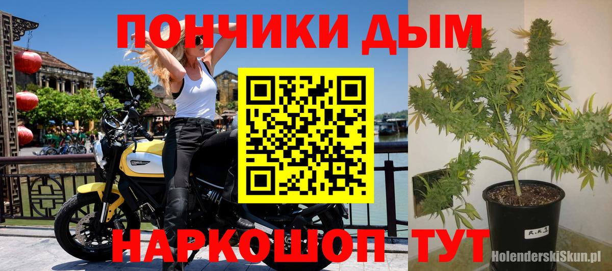 Шишки марихуана OG Kush  Марихуана тримм  Вход с VPN  Шишки марихуана планчик  Губкинский 